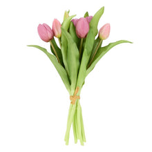 Load image into Gallery viewer, Rogue Tulip Bunch Pink 20x20x30cm