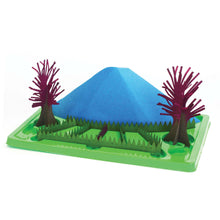 Load image into Gallery viewer, Discovery Zone Magic Garden