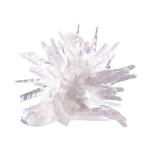 Load image into Gallery viewer, Discovery Zone Rainbow Crystal Growing Kit