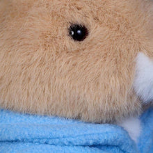 Load image into Gallery viewer, Classic Plush: Peter Rabbit 25cm