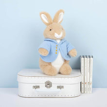 Load image into Gallery viewer, Classic Plush: Peter Rabbit 25cm