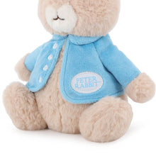Load image into Gallery viewer, SOFT TOY: SUPER SOFT PETER RABBIT MEDIUM 25CM