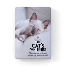 Load image into Gallery viewer, Affirmations 24 Cards - Cat's Whiskers - DCW