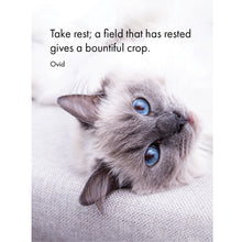 Load image into Gallery viewer, Affirmations 24 Cards - Cat's Whiskers - DCW