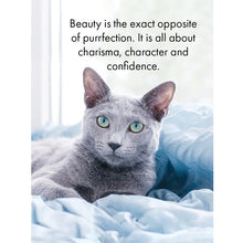 Load image into Gallery viewer, Affirmations 24 Cards - Cat's Whiskers - DCW