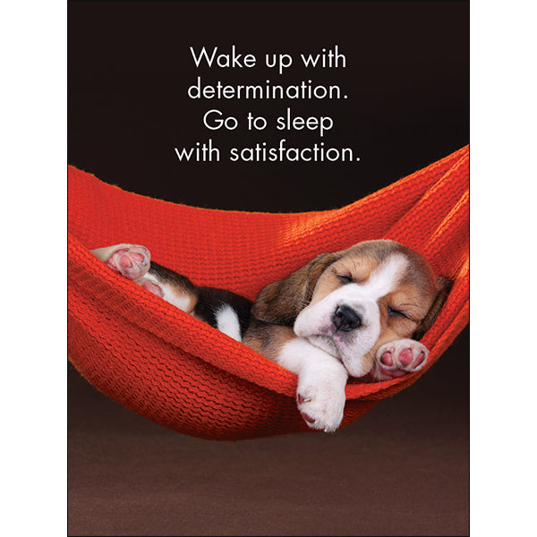 Affirmations 24 Cards - Good Dogs - DGD