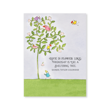 Load image into Gallery viewer, Affirmations -Twigseeds 24 Cards - A Little Box of Love - DLO