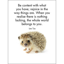 Load image into Gallery viewer, Affirmations 24 Cards - Little Treasures - DLT