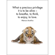 Load image into Gallery viewer, Affirmations 24 Cards - Little Treasures - DLT
