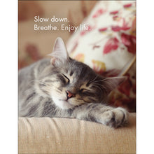 Load image into Gallery viewer, Affirmations 24 Cards - Wise Cats - DWC