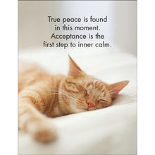 Load image into Gallery viewer, Affirmations 24 Cards - Wise Cats - DWC