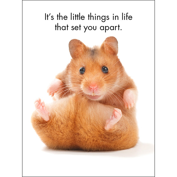 Affirmations 24 Cards - You're One of a Kind - DYK
