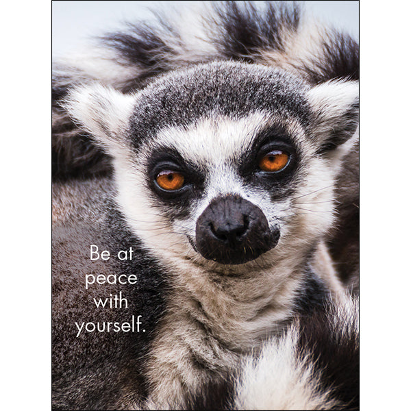 Affirmations 24 Cards - You're the Best - DYT