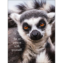 Load image into Gallery viewer, Affirmations 24 Cards - You're the Best - DYT