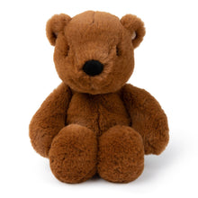 Load image into Gallery viewer, WWF Bernard Bear Brown - 29cm