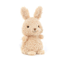 Load image into Gallery viewer, Little Bunny