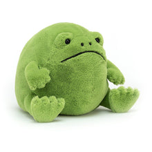 Load image into Gallery viewer, Jellycat Ricky Rain Frog 17cm