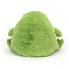 Load image into Gallery viewer, Jellycat Ricky Rain Frog 17cm