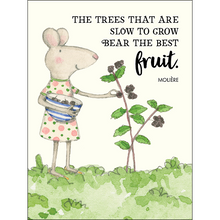 Load image into Gallery viewer, Affirmations -Twigseeds 24 Cards - Seeds of Truth - TLA001