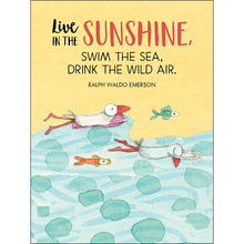 Load image into Gallery viewer, Affirmations -Twigseeds 24 Cards - Seeds of Truth - TLA001