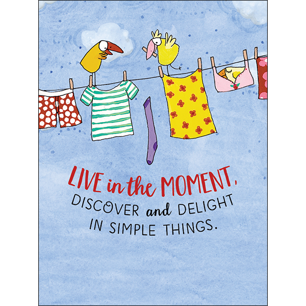 Affirmations -Twigseeds 24 Cards - A Box of Birds - TLA002