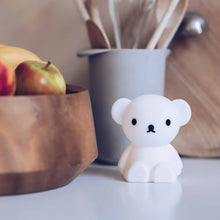 Load image into Gallery viewer, Miffy & Friends Bundle of Night Light Boris 10.2cm