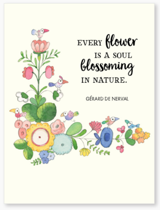 Affirmations -Twigseeds 24 Cards - A Little Box of Flowers - DFL