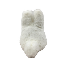 Load image into Gallery viewer, Studio Ghibli Nakayoshi Plush: My Neighbor Totoro - Small Totoro