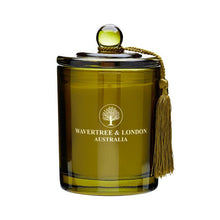 Load image into Gallery viewer, Wavertree &amp; London Candle Winter Pine 60 hours 330g
