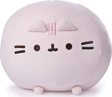 Load image into Gallery viewer, Pusheen Squisheen Round - Pink 25CM