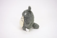 Load image into Gallery viewer, Studio Ghibli Plush: My Neighbor Totoro - Big Totoro (S)