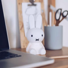 Load image into Gallery viewer, Miffy & Friends Bundle of Night Light Miffy 15cm
