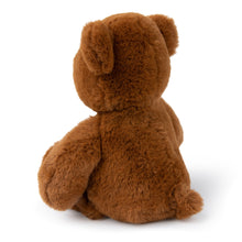 Load image into Gallery viewer, WWF Bernard Bear Brown - 29cm
