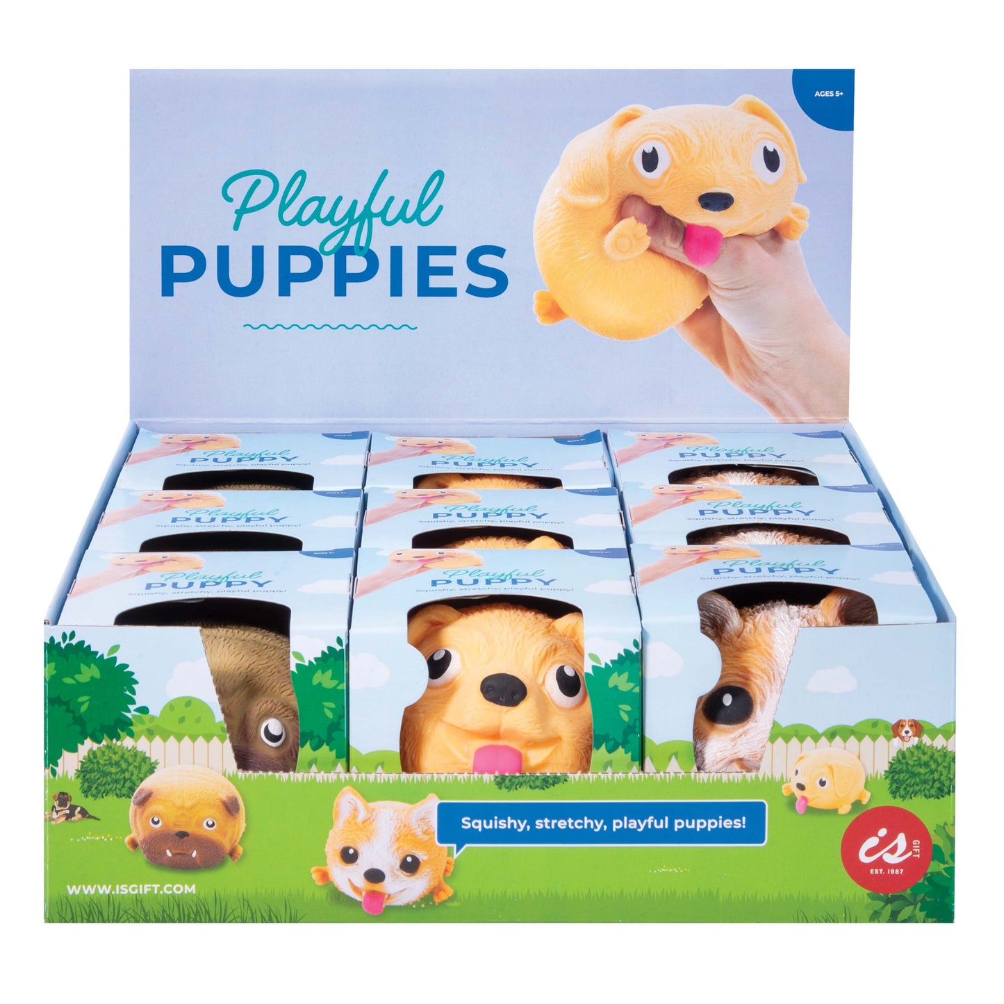 Playful Puppies