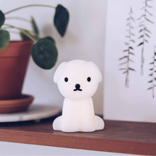 Load image into Gallery viewer, Miffy & Friends Bundle of Night Light Snuffy 15cm