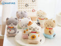 HAPINS