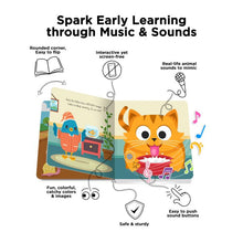 Load image into Gallery viewer, Ditty Bird Touch the Cute Animals Multi-Coloured 16x2x16cm
