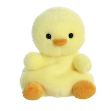 Load image into Gallery viewer, Palm Pal Betsy Chick 13cm

