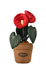 Load image into Gallery viewer, PlushWoods Anthurium Plant Plush With Pot 20cm
