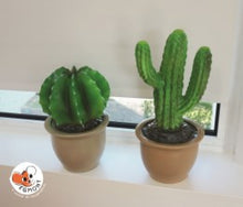 Load image into Gallery viewer, Knox &amp; Floyd Heico Lamp – Cactus in Flower Pot
