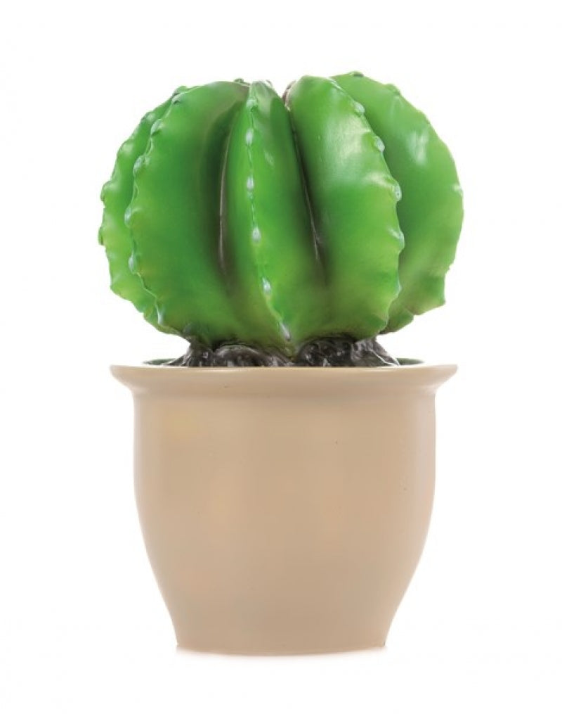 Knox & Floyd Heico Lamp – Cactus in Flower Pot