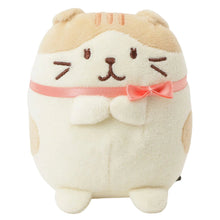 Load image into Gallery viewer, Hapins Kitten Medium Scottish Fold
