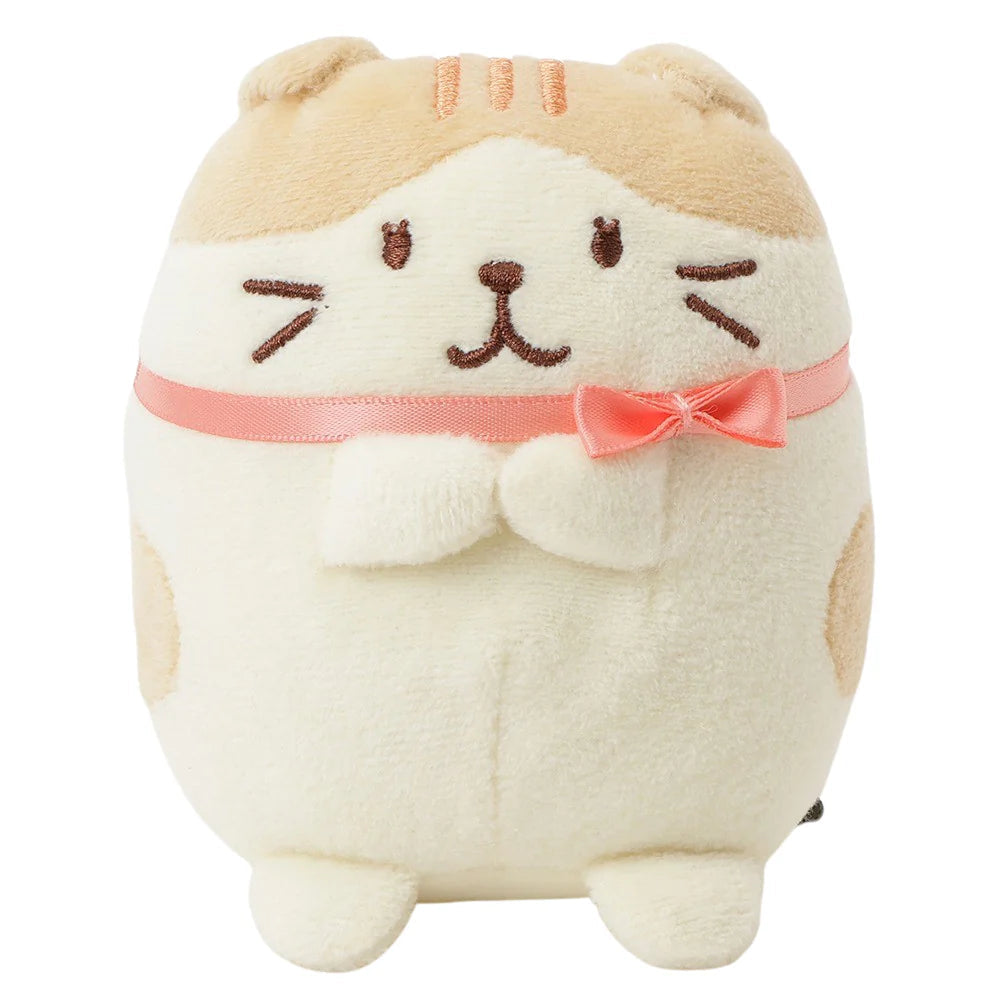 Hapins Kitten Medium Scottish Fold