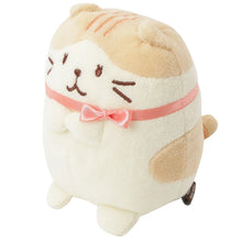 Load image into Gallery viewer, Hapins Kitten Medium Scottish Fold
