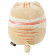 Load image into Gallery viewer, Hapins Kitten Medium Scottish Fold
