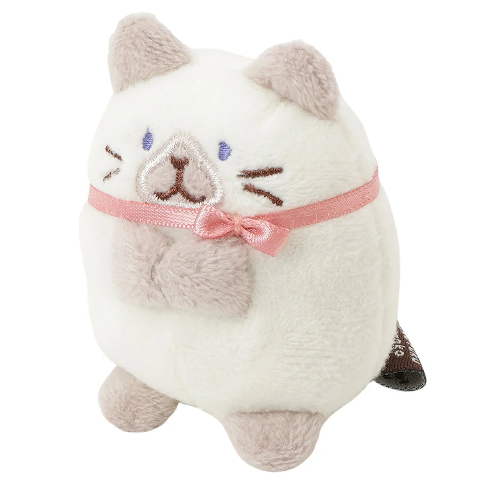 Hapins Kitten Small Siamese Cat