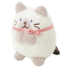Load image into Gallery viewer, Hapins Kitten Small Siamese Cat
