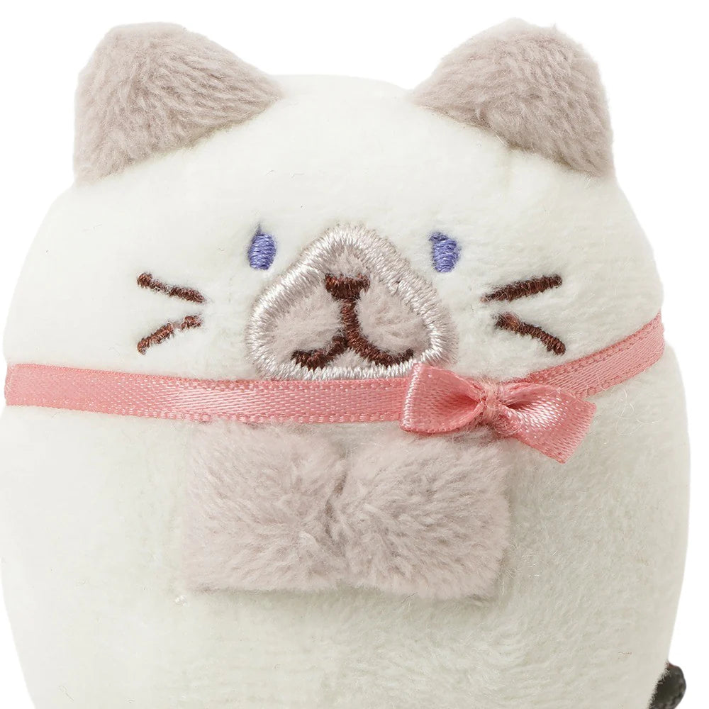 Hapins Kitten Small Siamese Cat