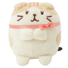 Load image into Gallery viewer, Hapins Kitten Small Scottish Fold
