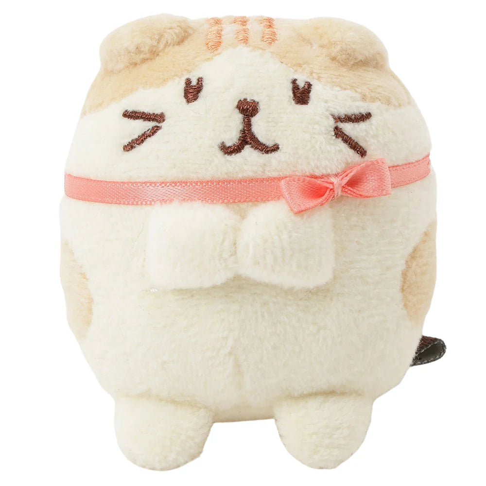 Hapins Kitten Small Scottish Fold